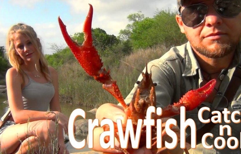 Crawfish – Hand Caught / Fire Grilled
