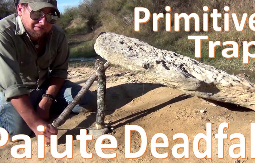 Paiute Deadfall Trap – The Best Type and How to Build