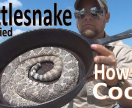 Pan Frying Rattlesnake